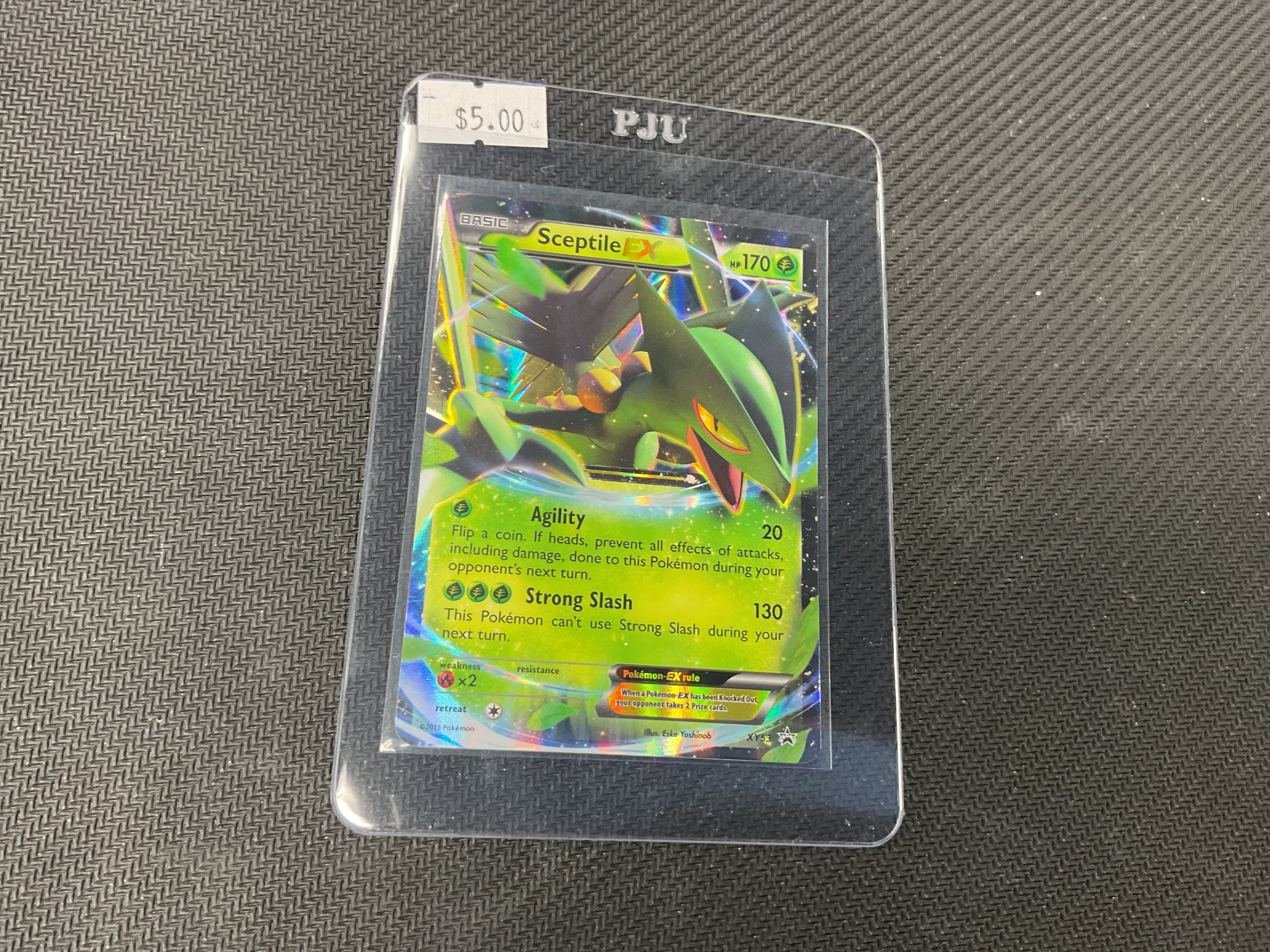 Sceptile EX XY53