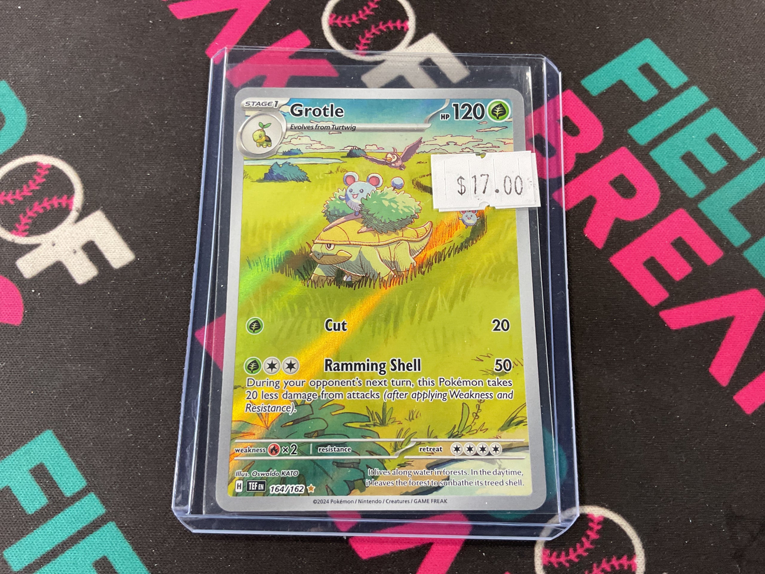 Grotle 164/162
