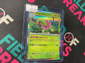 Meganium MEP EN 001