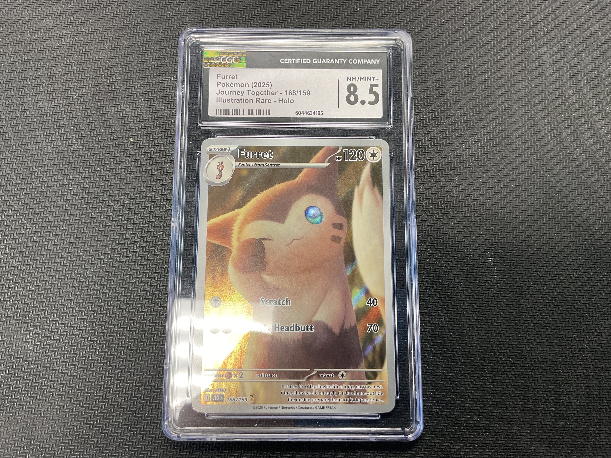 Furret Journey Together CGC 8.5