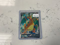 Charizard V 153/172