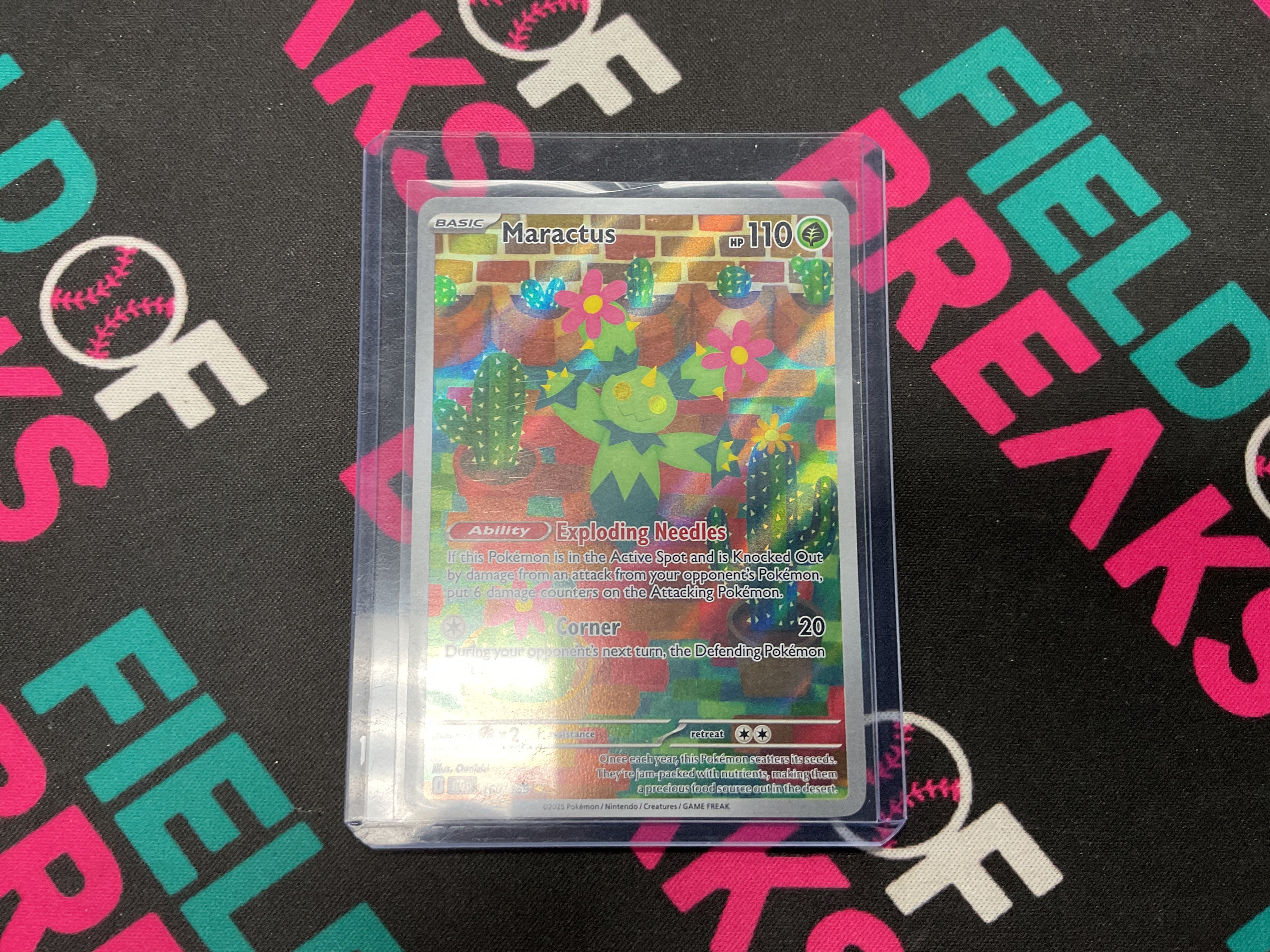 Maractus Journey Together 160/159