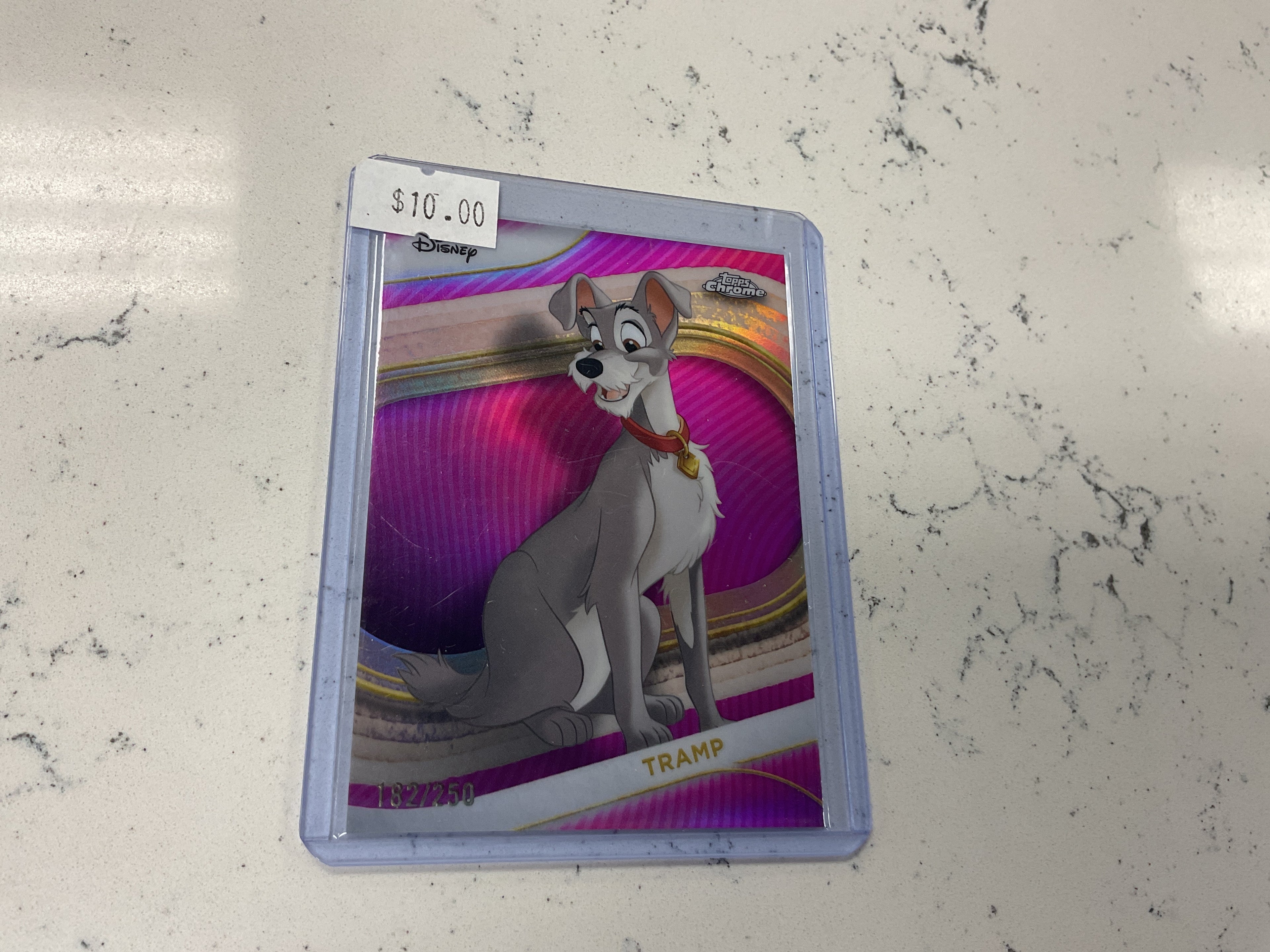 Tramp /250
