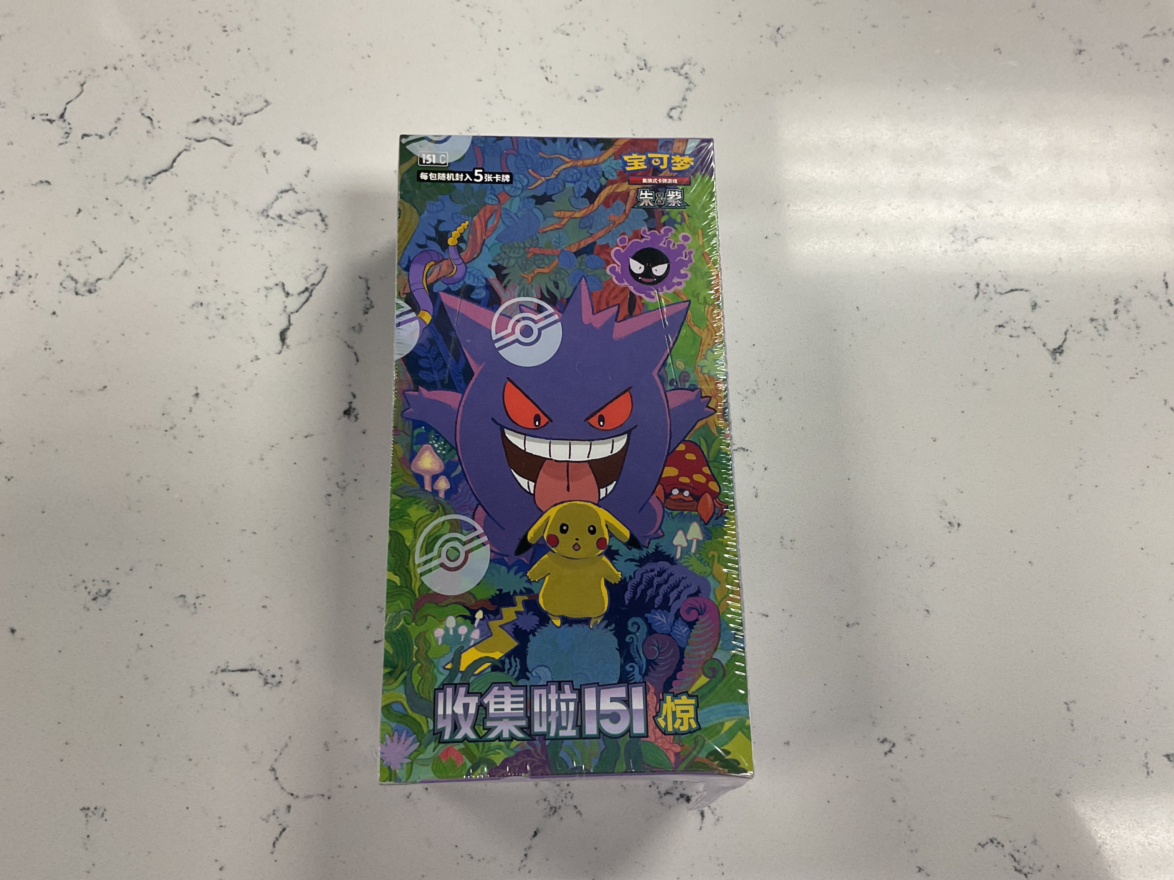 Chinese 151 Gengar Pikachu J&J