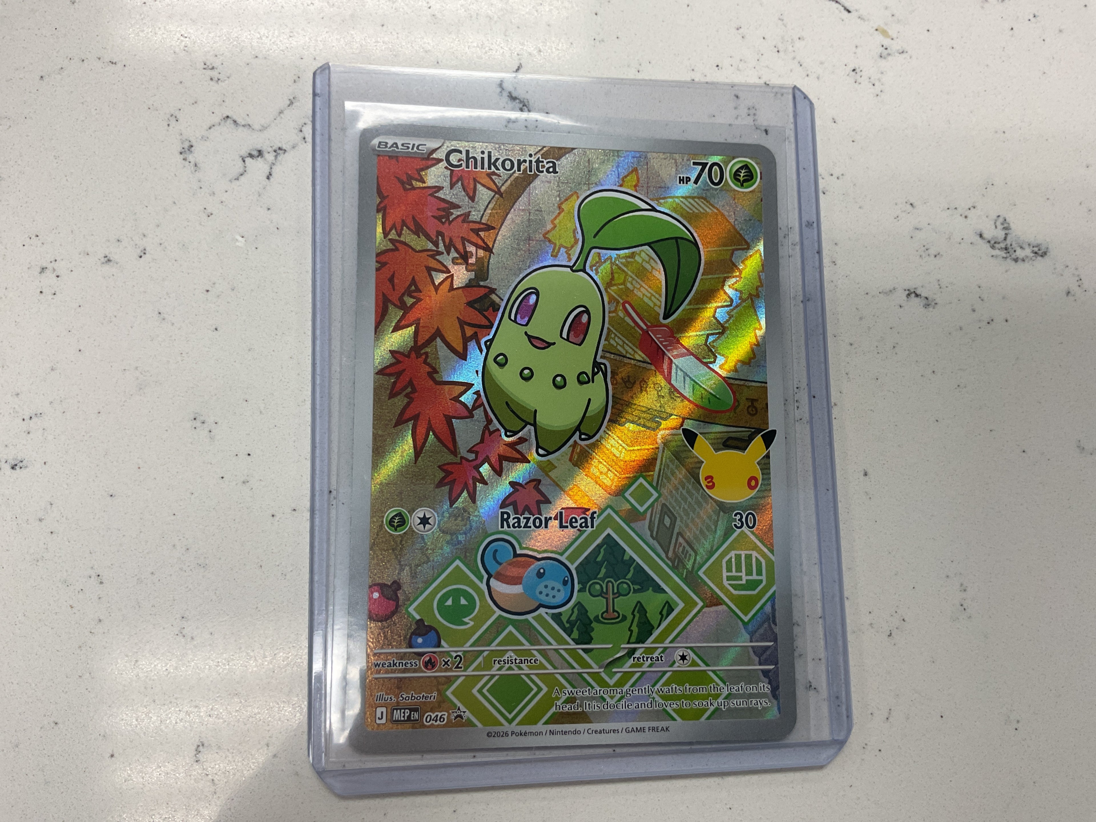 Chikorita first partners