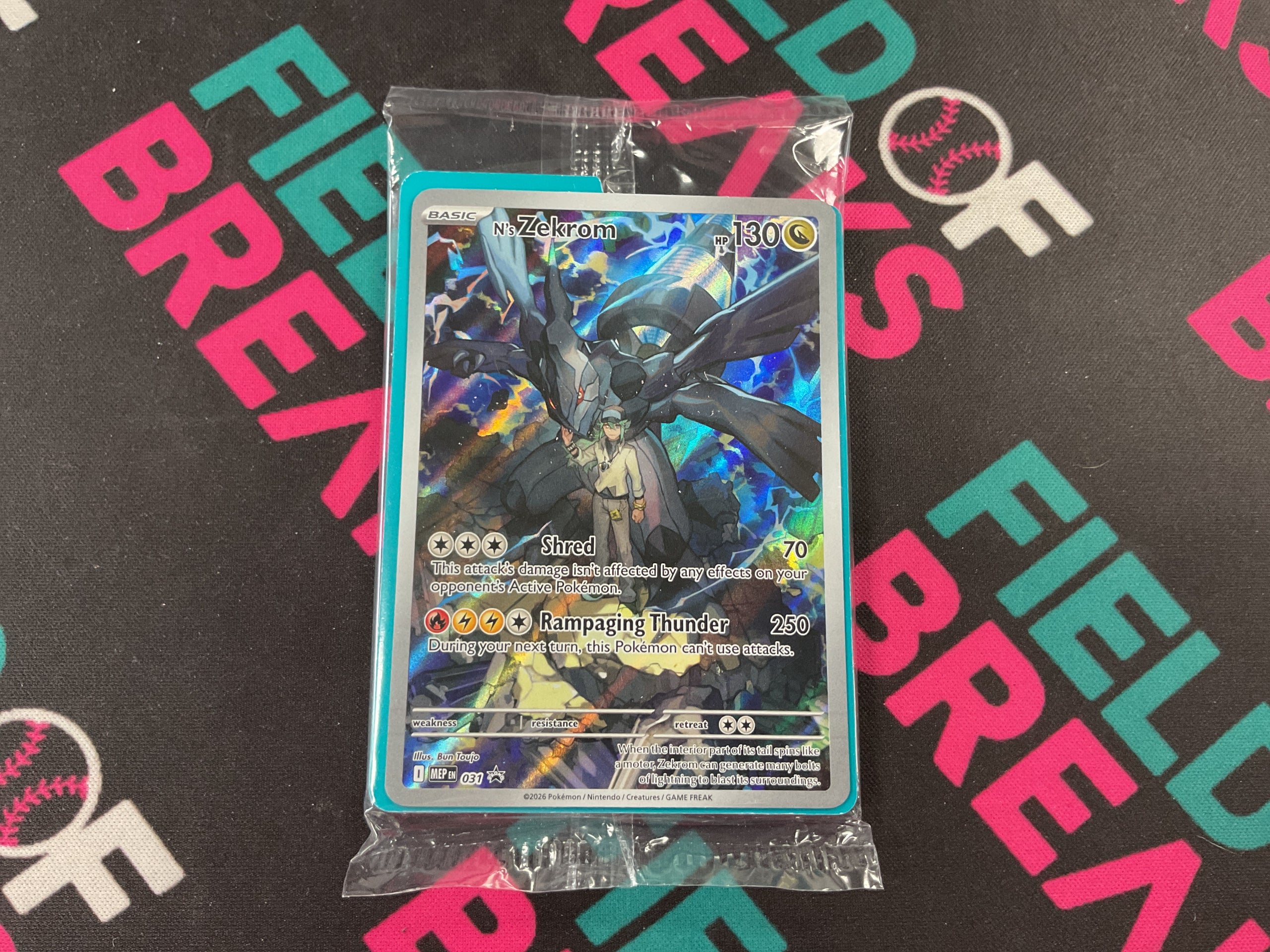 Zekrom 031