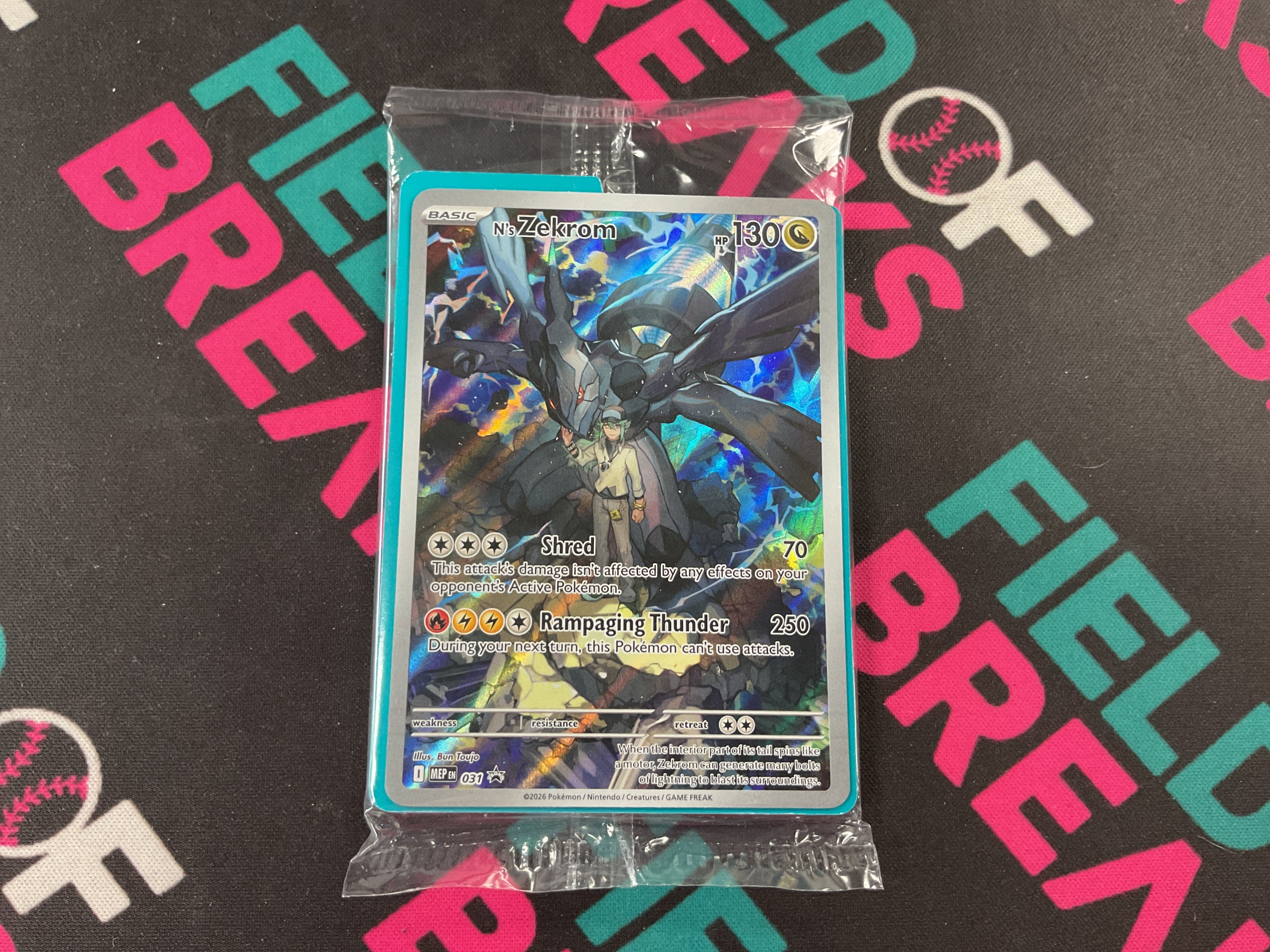 Zekrom 031