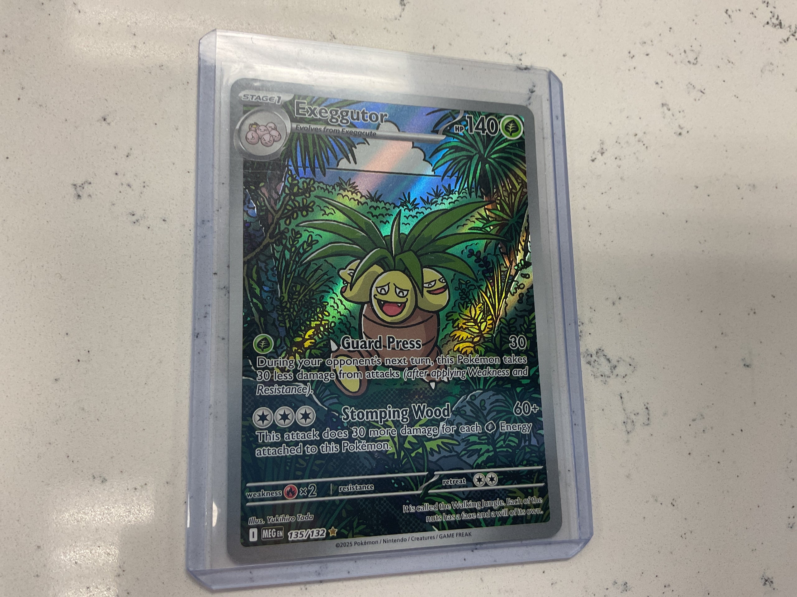 Exeggutor Mega Evolution IR