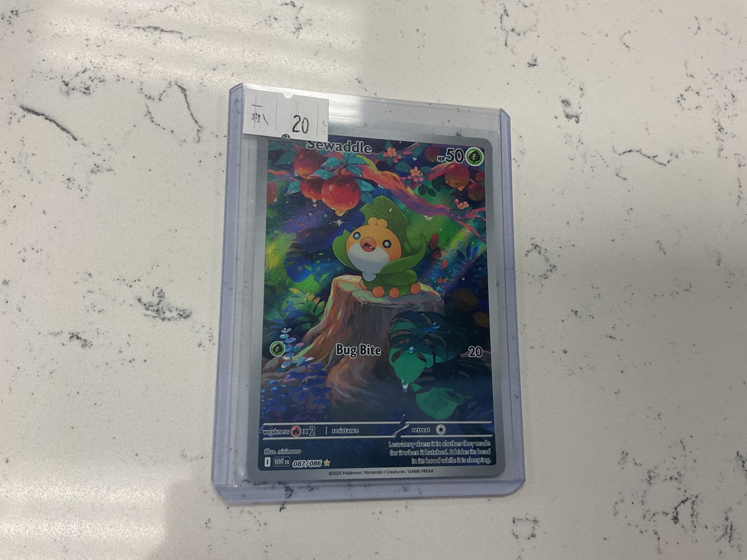 Sewaddle IR 087/086