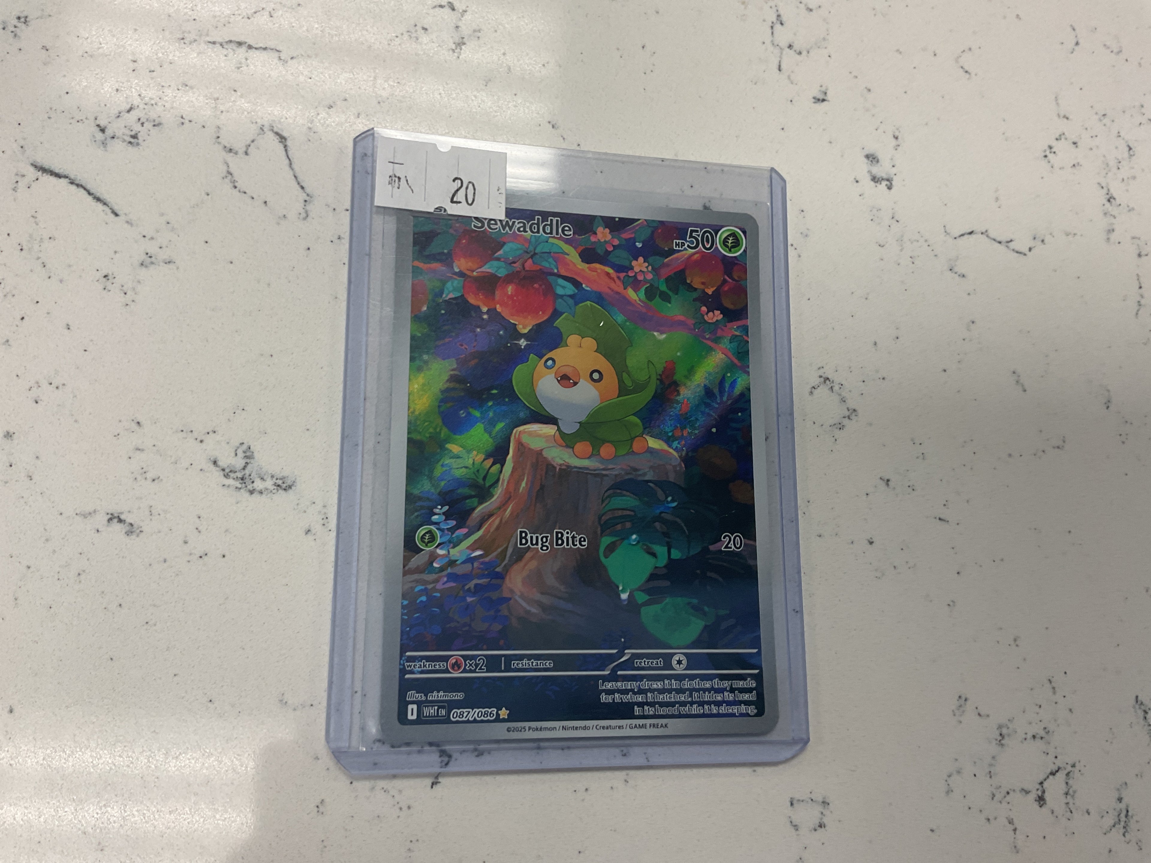Sewaddle IR 087/086