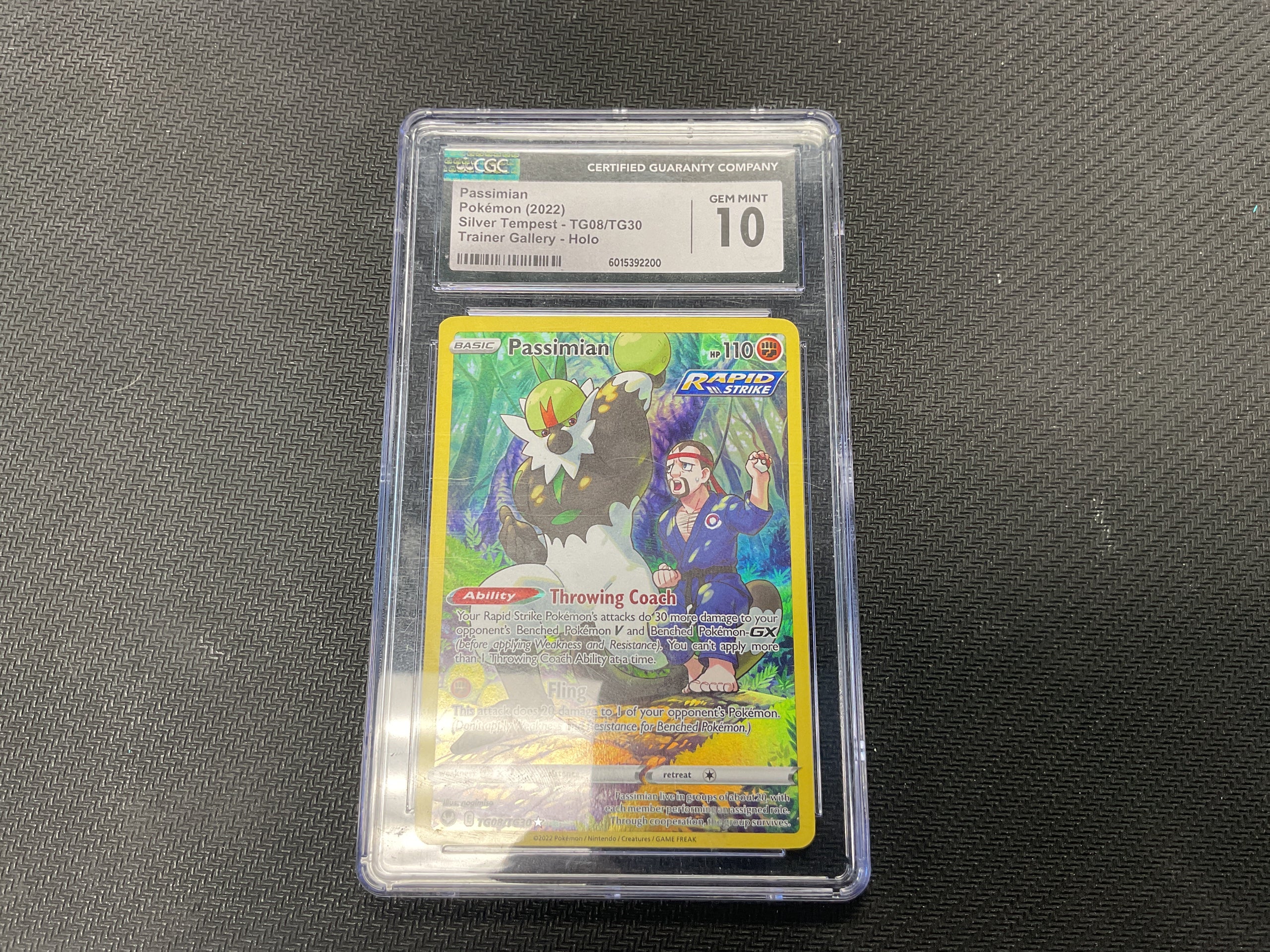 Passimian Silver Tempest Trainer Gallery CGC 10