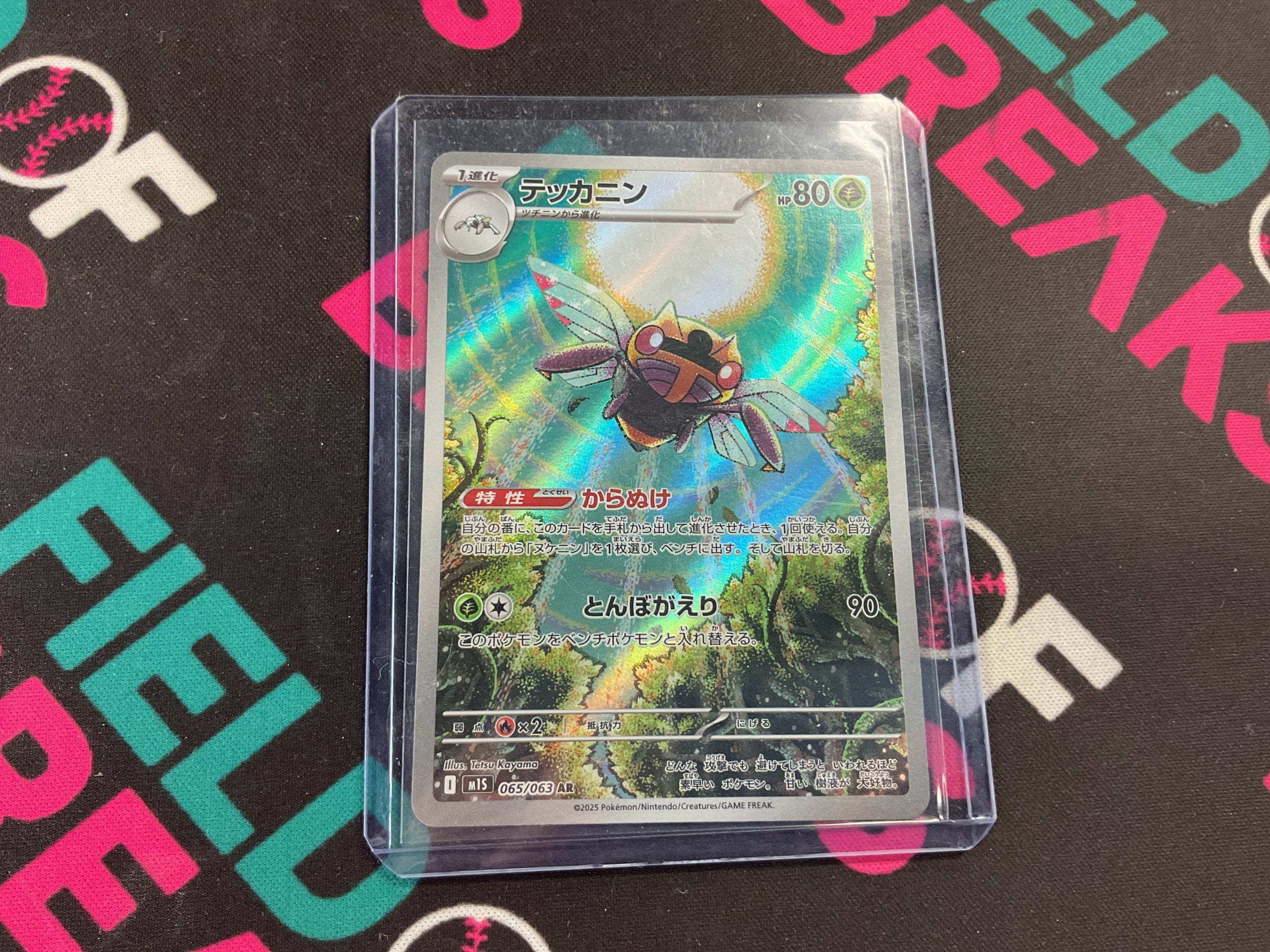 Ninjask